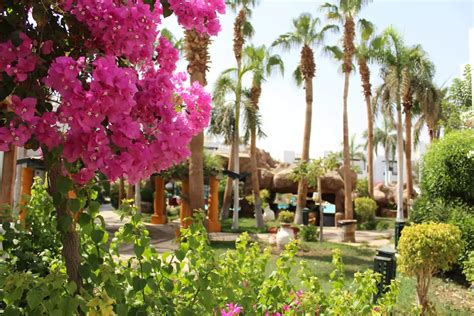 hermes hospitality sharm el sheikh